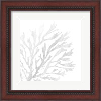 Framed White Seaweed 2