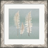 Framed Spring Eden Fern