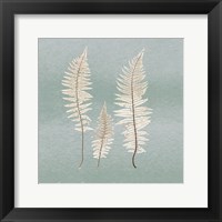 Framed Spring Eden Fern