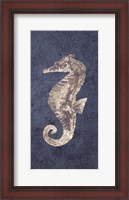 Framed Sea Horse Coastal 1