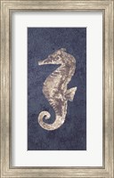 Framed Sea Horse Coastal 1