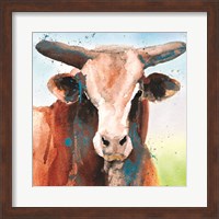 Framed Bull Blue