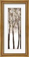 Framed Wooded Grove 1