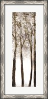 Framed Wooded Grove 1