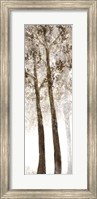 Framed Wooded Grove 2