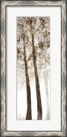 Framed Wooded Grove 2