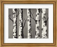 Framed Birch Backwoods