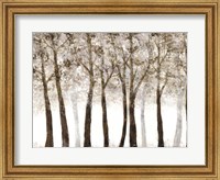 Framed Wooded Grove
