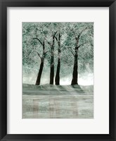 Green Forest 2 Framed Print