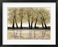 Framed Spring Forest