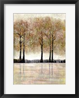 Framed Serene Forest