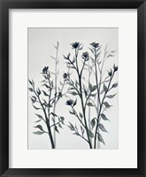 Framed Botanical Inspiration 2