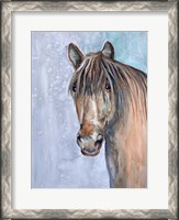 Framed Gentle Stallion 2