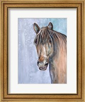 Framed Gentle Stallion 2