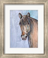 Framed Gentle Stallion 2