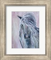 Framed Majestic Stallion 1