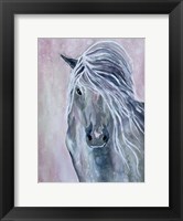 Framed Majestic Stallion 1