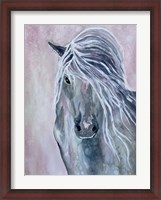 Framed Majestic Stallion 1