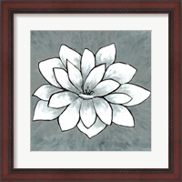Framed White Lotus