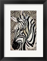 Framed Designer Zebra