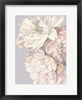 Framed Soft Peonies