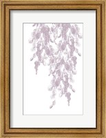 Framed Weeping Willow Mauve Splash 1