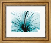 Framed Aqua Hibiscus