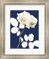 Framed Rose Cool Dynasty 1