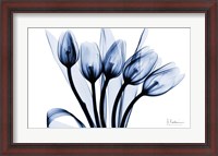 Framed Marvelous Indigo Tulips 2