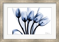 Framed Marvelous Indigo Tulips 2