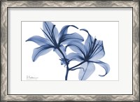 Framed Indigo Infused Lily 2