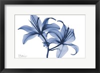 Framed Indigo Infused Lily 2