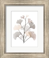 Framed Desert Ginko