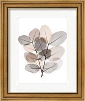 Framed Earth Tone  Bunch