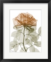 Urban Jungle Rose 1 Framed Print