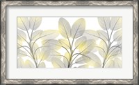 Framed Illuminated Beauty 1