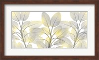 Framed Illuminated Beauty 1