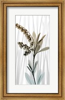 Framed Suave Snowdrops 1