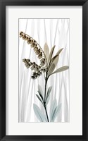 Framed Suave Snowdrops 1