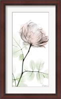 Framed Loving Rose 1
