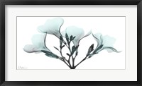 Framed Oleander Mist 1