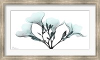 Framed Oleander Mist 1