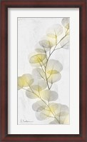 Framed Eucalyptus Sunshine 2