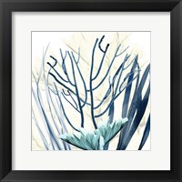 Framed Ocean Floor Life 2