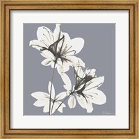 Framed Splendid Neutral Beauty 1