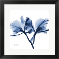 Framed Indigo Orchid