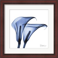 Framed Indigo Infused Calla Lilies