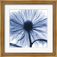 Framed Indigo Chrysanthemum