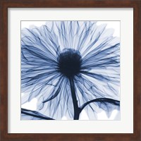 Framed Indigo Chrysanthemum