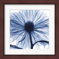 Framed Indigo Chrysanthemum